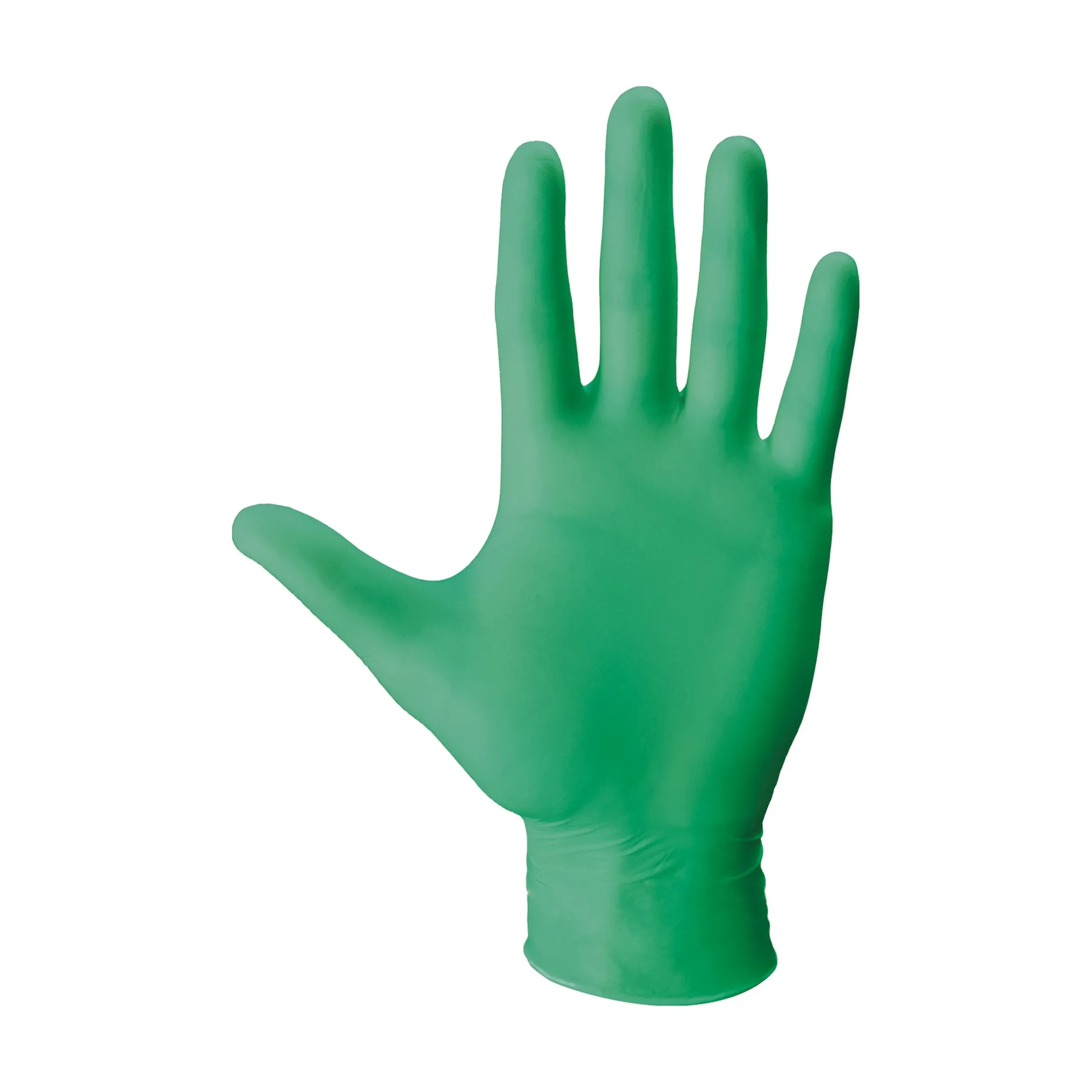 Aloe Vera Einmalhandschuhe, 100 Stück