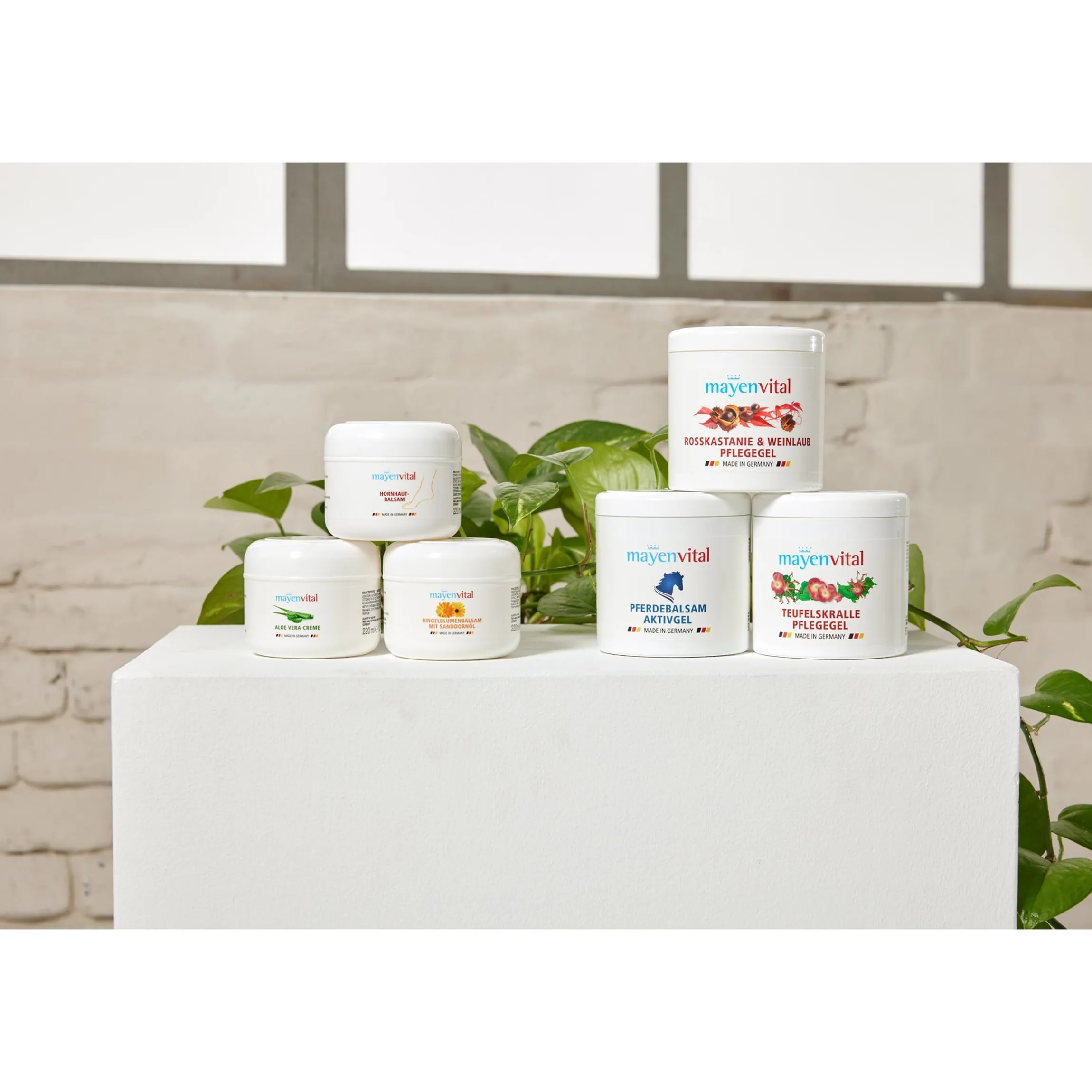 Aloe Vera Pflegecreme, 220 ml