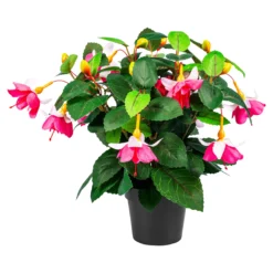 Deko-Fuchsie pink