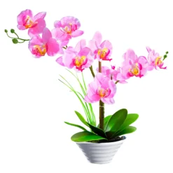 Deko-Traum "Orchidee"