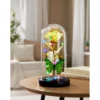 Ewige Rose im Glas „Farbenzauber“