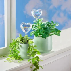 Glas-Bewässerungshilfe „Herz“, 4 Stück