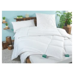 Kissen Klima Active Plus 40x80 cm
