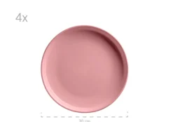 Kombiservice, Steinzeug ALENIA Rosa