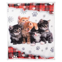 Kuscheldecke ­„Katzen-Kindergarten“