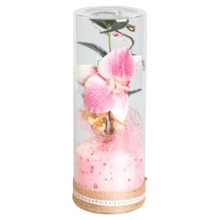LED-Deko „Orchideen-Traum“