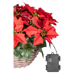 LED-Hängekorb „Weihnachtsstern“