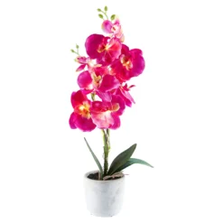 LED-Orchidee