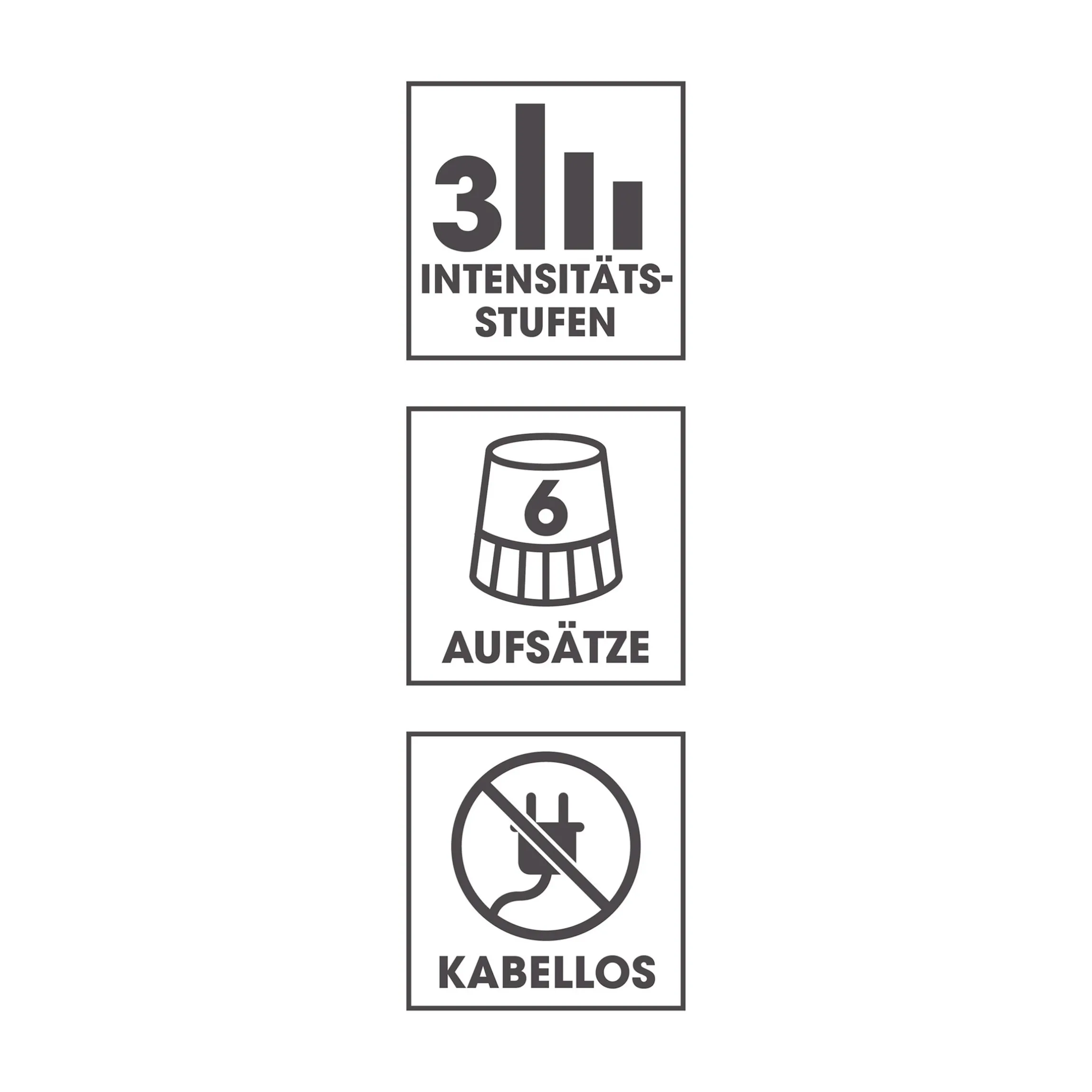 Porenreiniger Professional 6 in 1