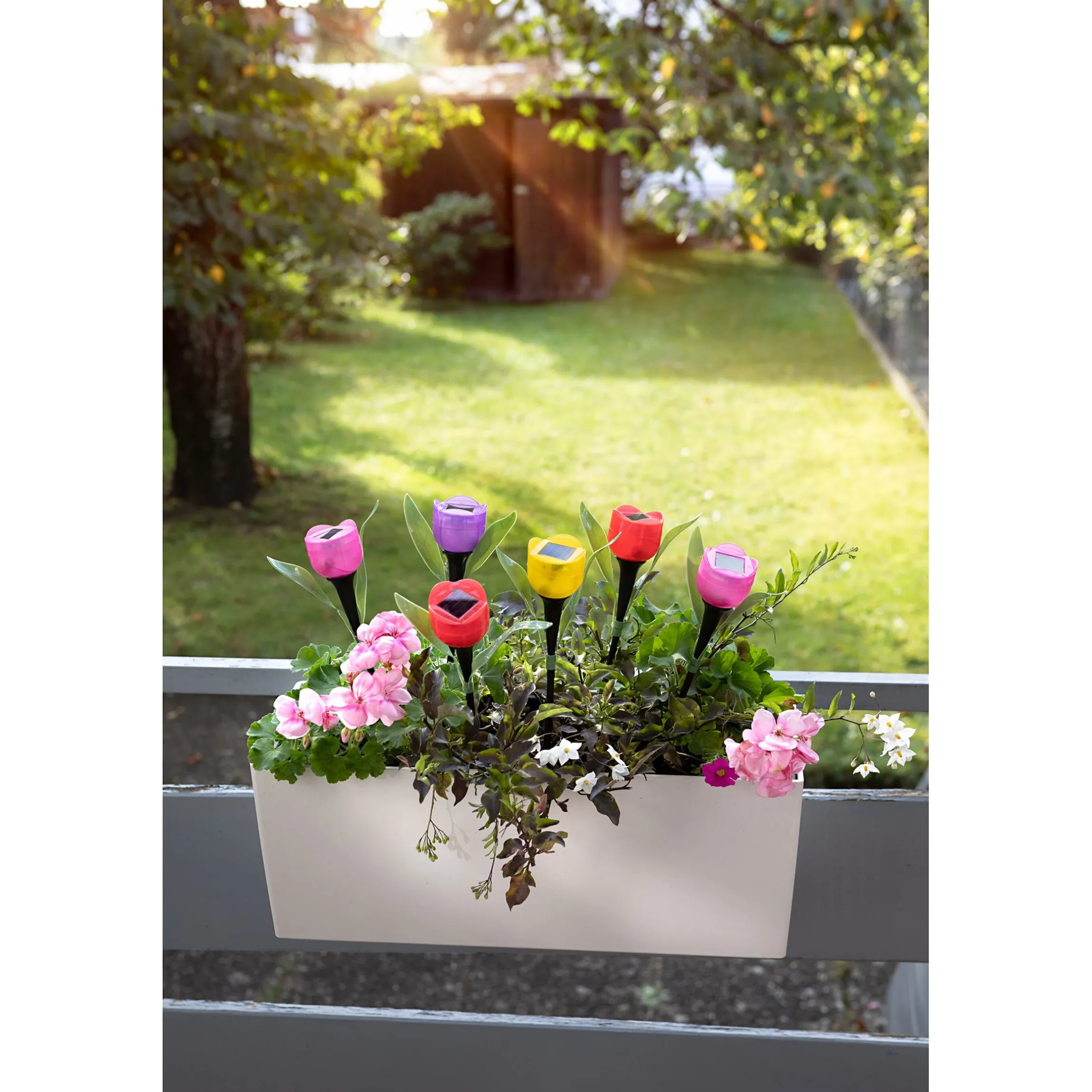 Solar-Tulpen "Kunterbunt", 6 Stück