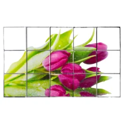 Spritzschutz-Folie „Tulpen“