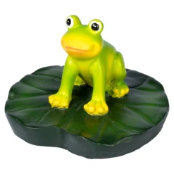 Teichfrosch Lorenz
