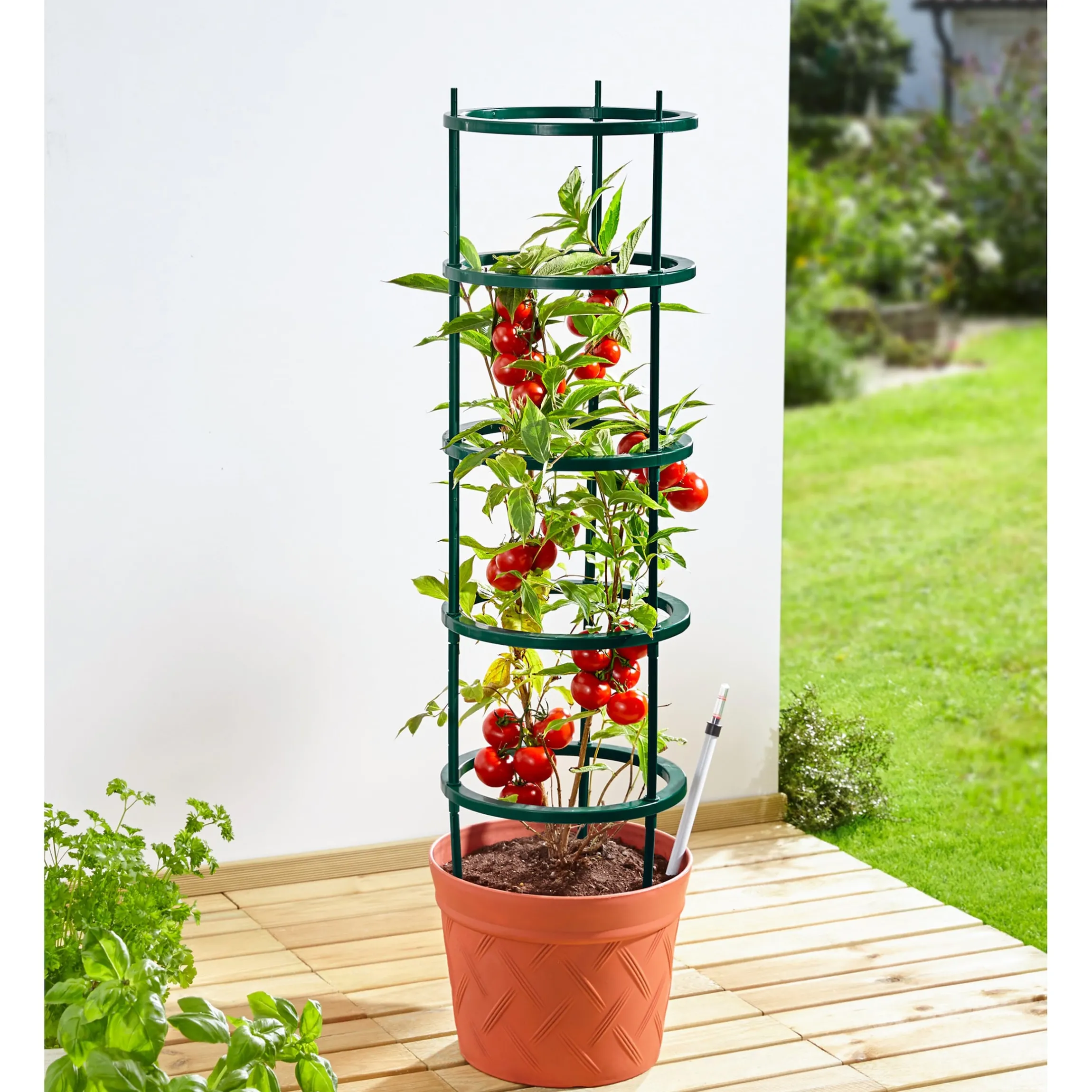 Tomaten-Pflanztopf "2 in 1"